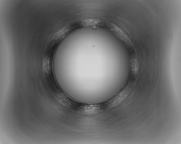 X0000113350378200909221149