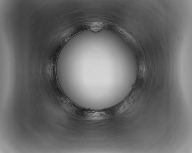 X0000113350379200909221149
