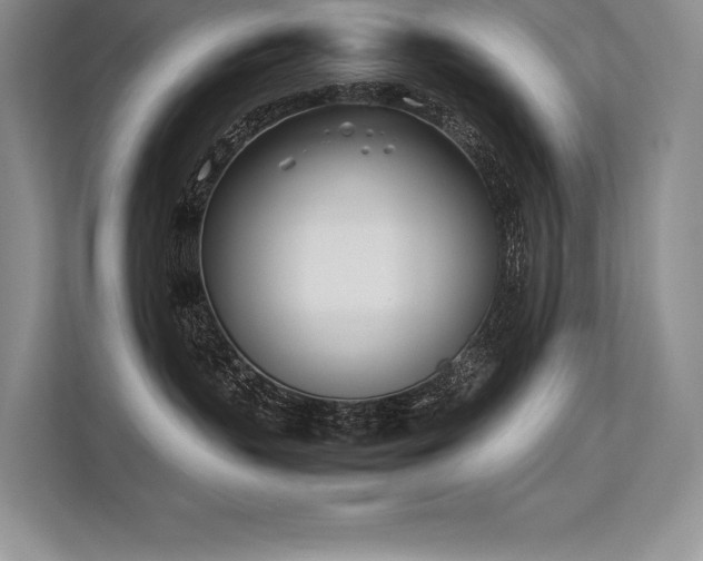 X0000113350383200909221149