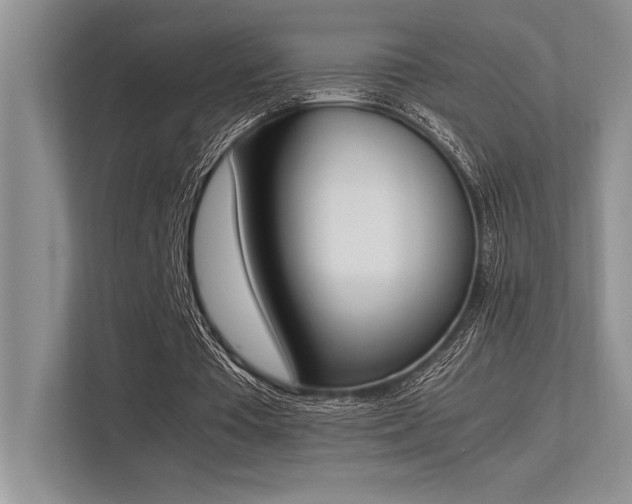 X0000113350385200909221148