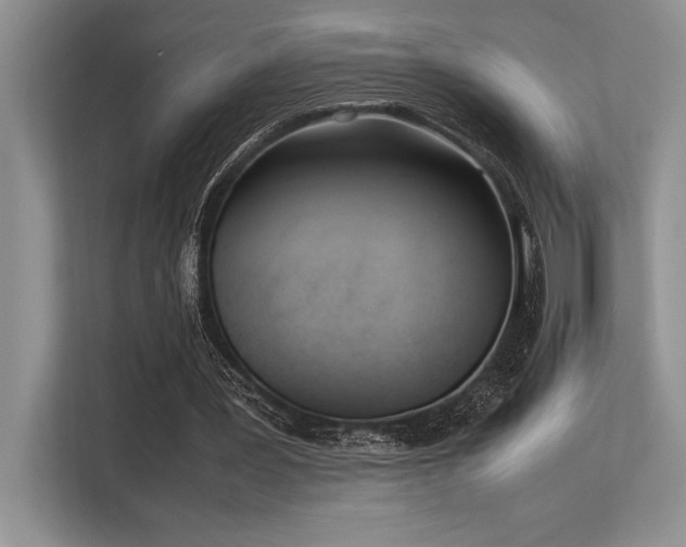 X0000113350387200909221148