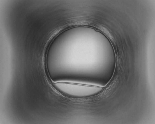 X0000113350389200909221148
