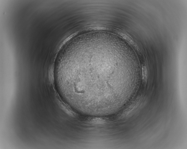 X0000113350390200909221148