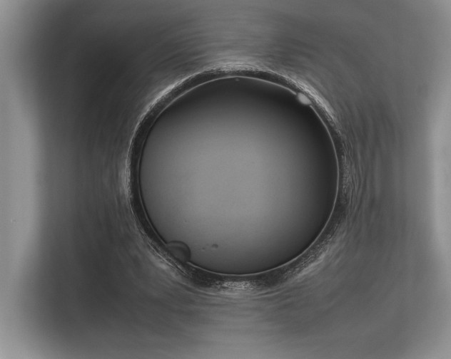 X0000113350391200909221148