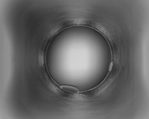 X0000113350393200909221148