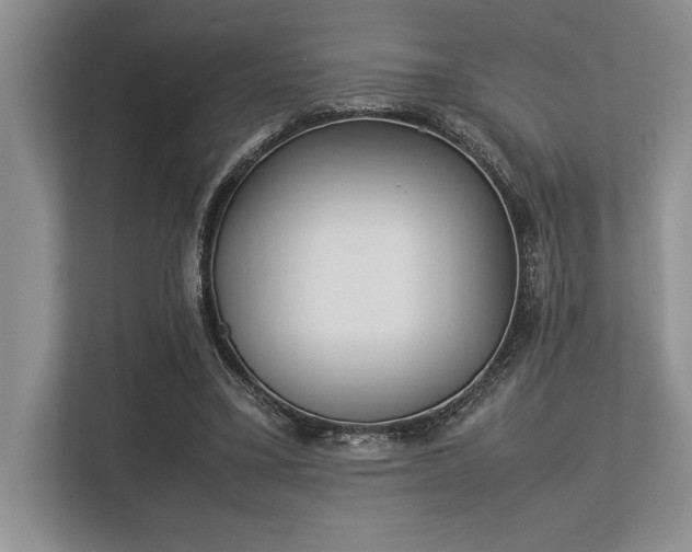 X0000113350395200909221148