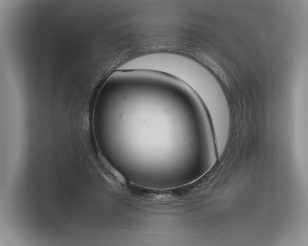 X0000113350401200909221148