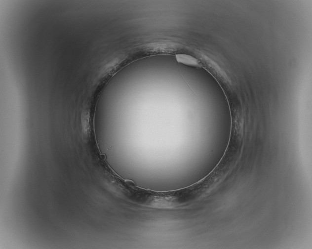 X0000113350403200909221148