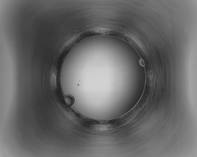 X0000113350404200909221148