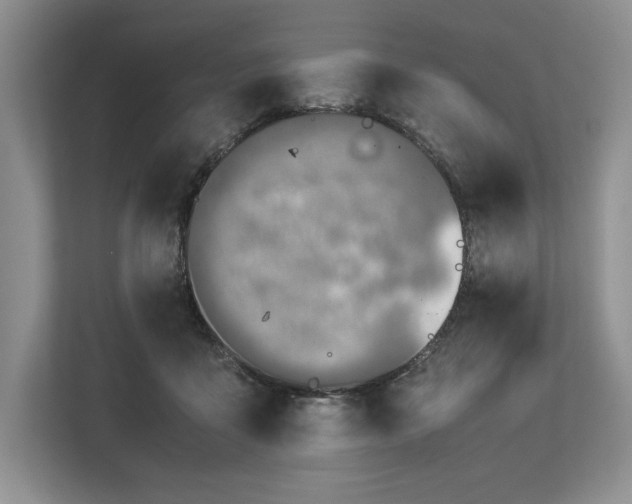 X0000113350411200909221148