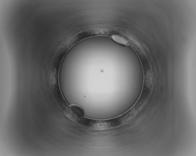 X0000113350413200909221148