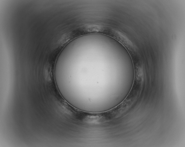 X0000113350414200909221148