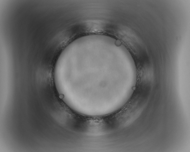 X0000113350415200909221148