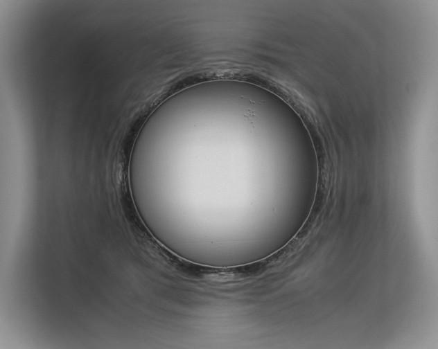 X0000113350417200909221148