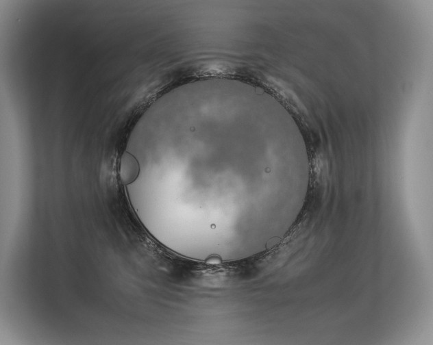 X0000113350423200909221148