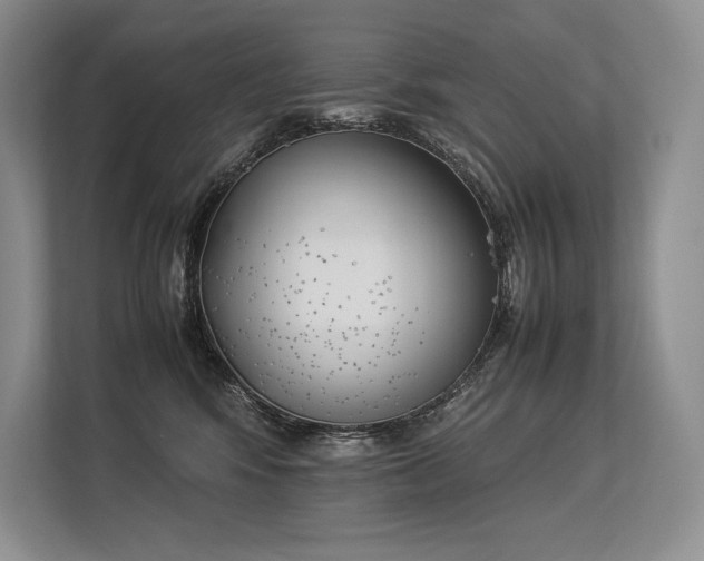 X0000113350424200909221148