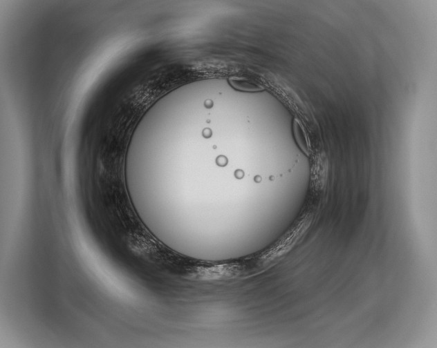 X0000113350430200909221148