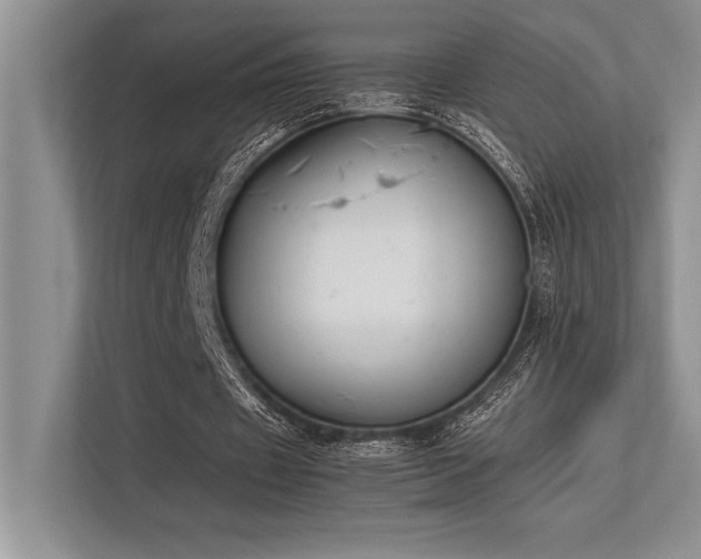 X0000113350433200909221147