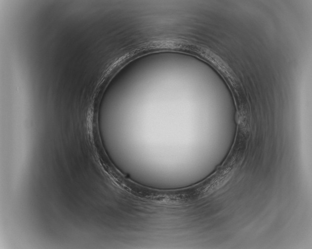 X0000113350434200909221147