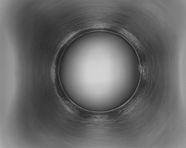 X0000113350436200909221147