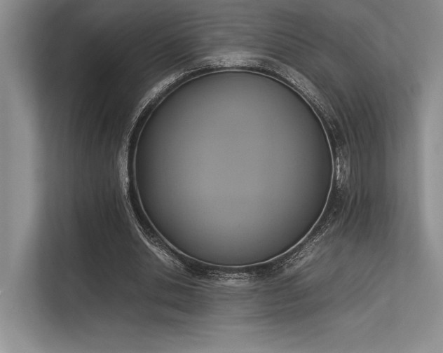 X0000113350438200909221147