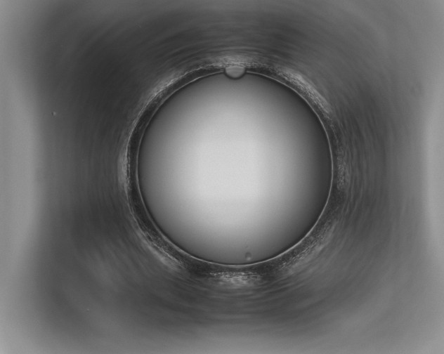 X0000113350439200909221147