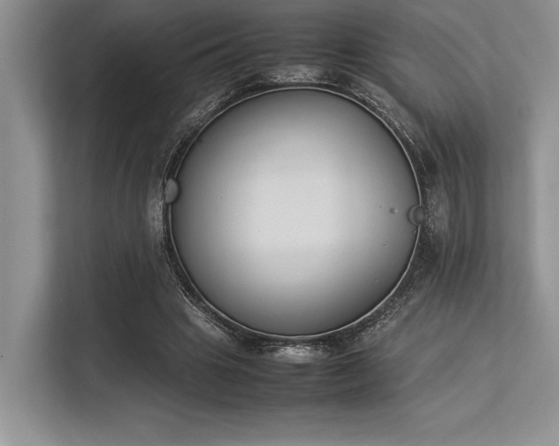 X0000113350441200909221147
