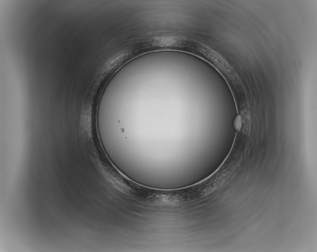 X0000113350442200909221147