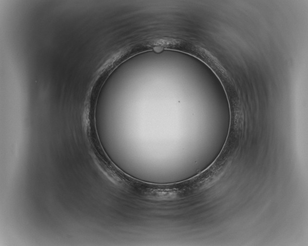 X0000113350443200909221147
