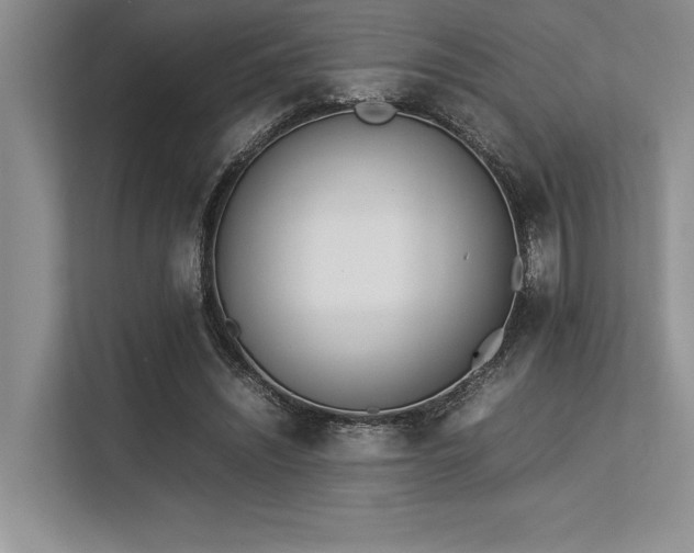 X0000113350444200909221147