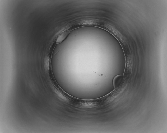 X0000113350445200909221147