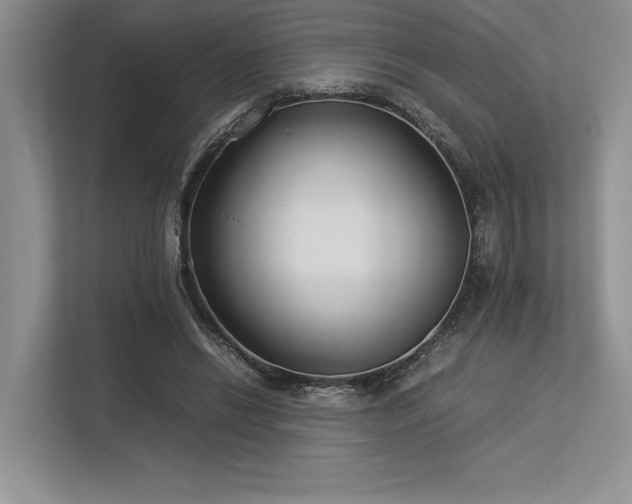X0000113350446200909221147