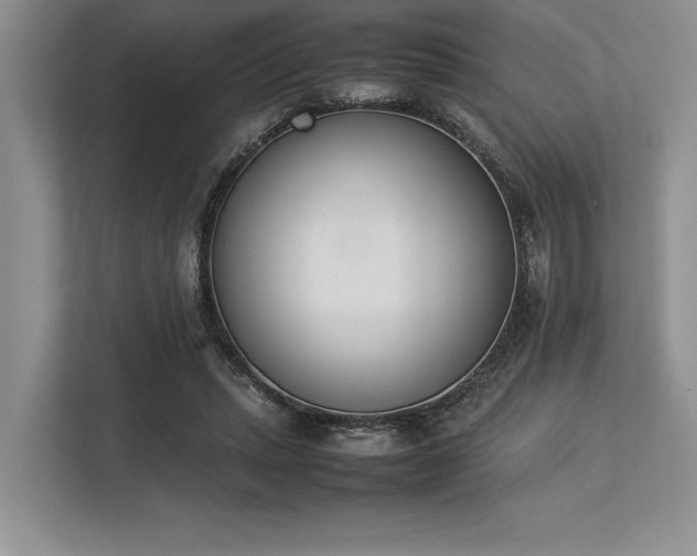 X0000113350447200909221147