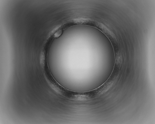 X0000113350448200909221147