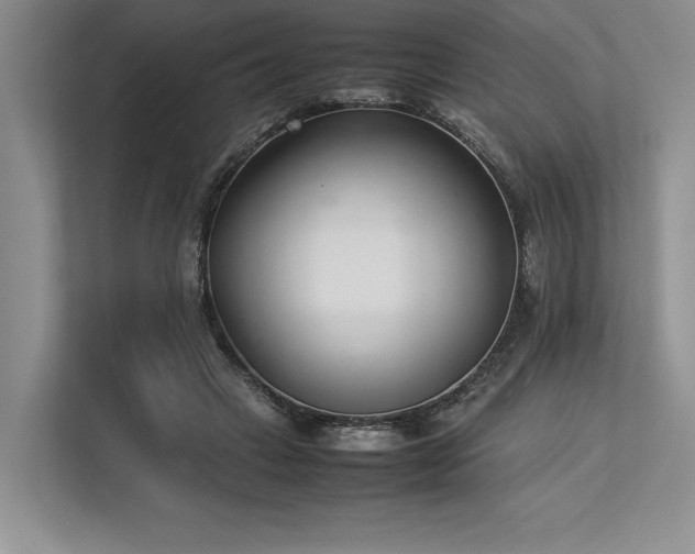 X0000113350449200909221147