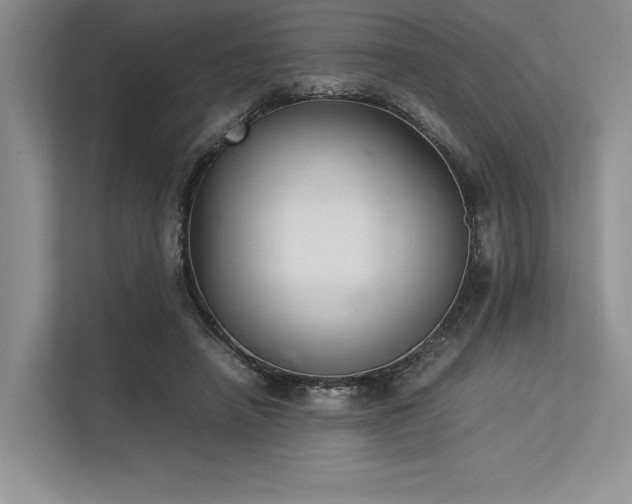 X0000113350450200909221147