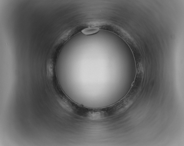 X0000113350452200909221147