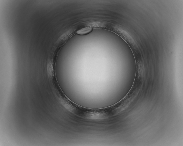 X0000113350453200909221147