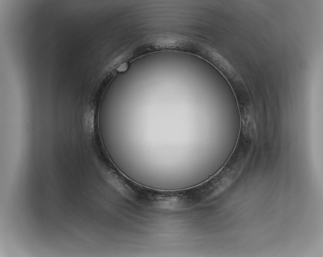 X0000113350454200909221147