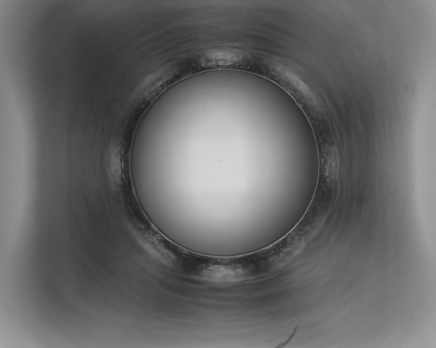 X0000113350455200909221147