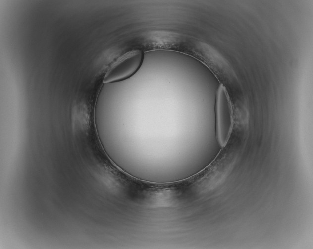 X0000113350456200909221147