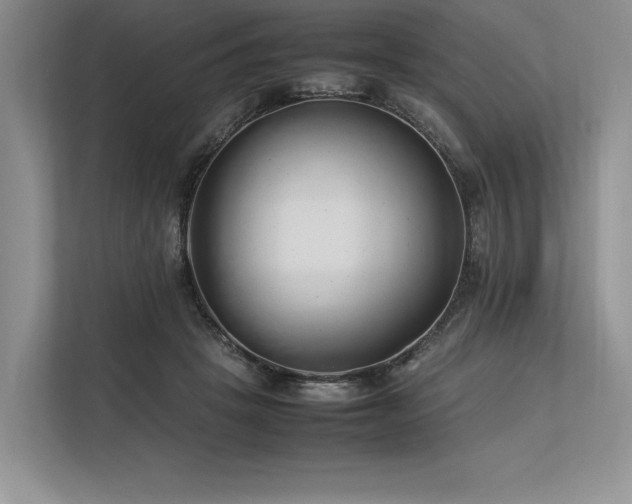 X0000113350457200909221147