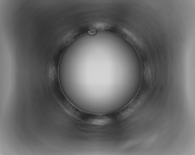 X0000113350459200909221147