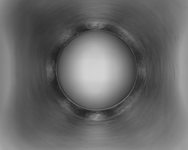 X0000113350460200909221147
