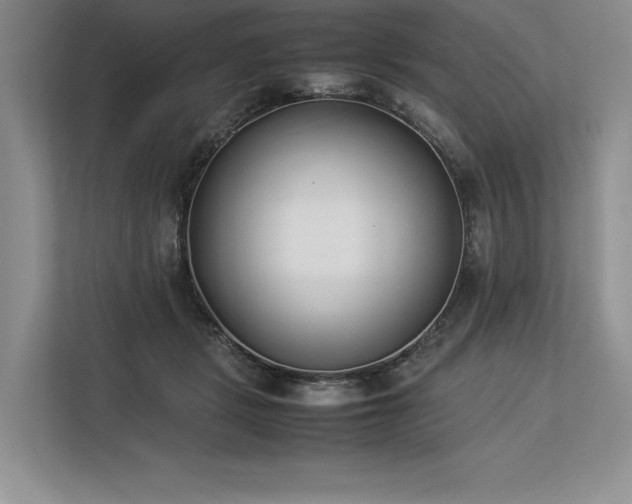 X0000113350461200909221147