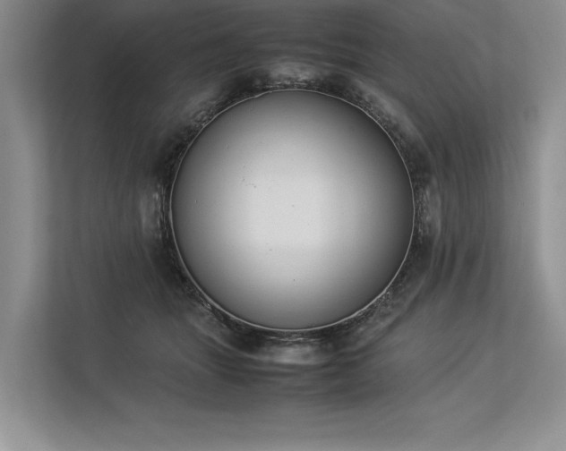 X0000113350463200909221147