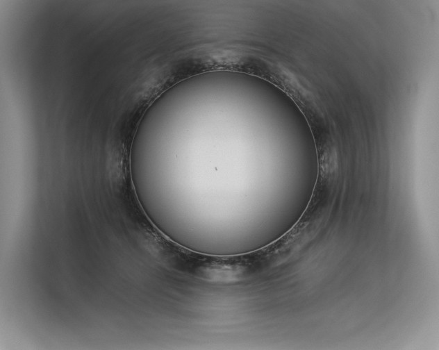 X0000113350464200909221147