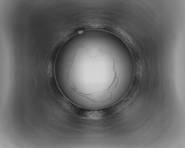 X0000113350465200909221147
