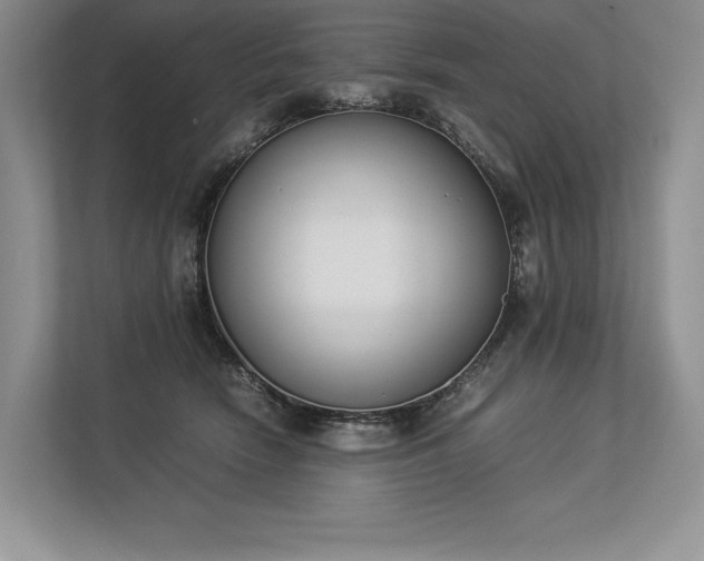 X0000113350466200909221147