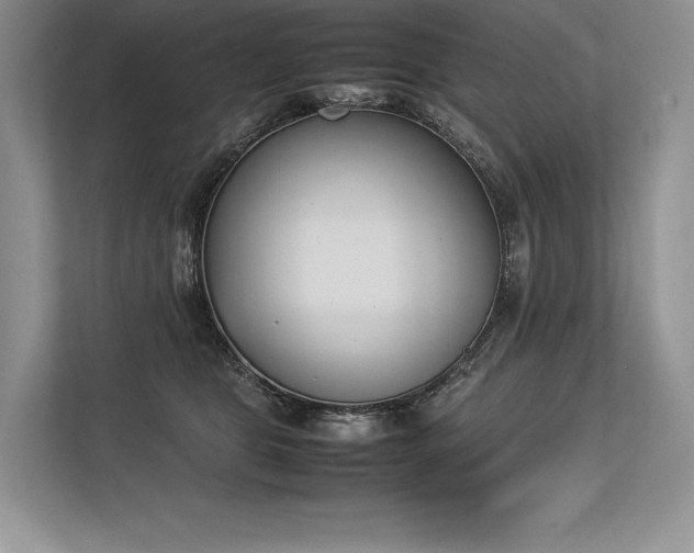 X0000113350469200909221147